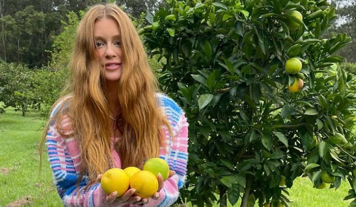 Guilherme Mussi decide abandonar política por Marina Ruy Barbosa, diz coluna