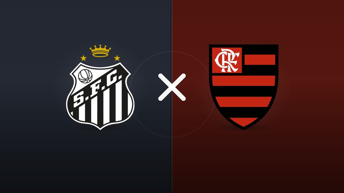 Santos x Flamengo jogam hoje às 19h30 pela Serie A. Foto: Diário 24 Horas / Montagem