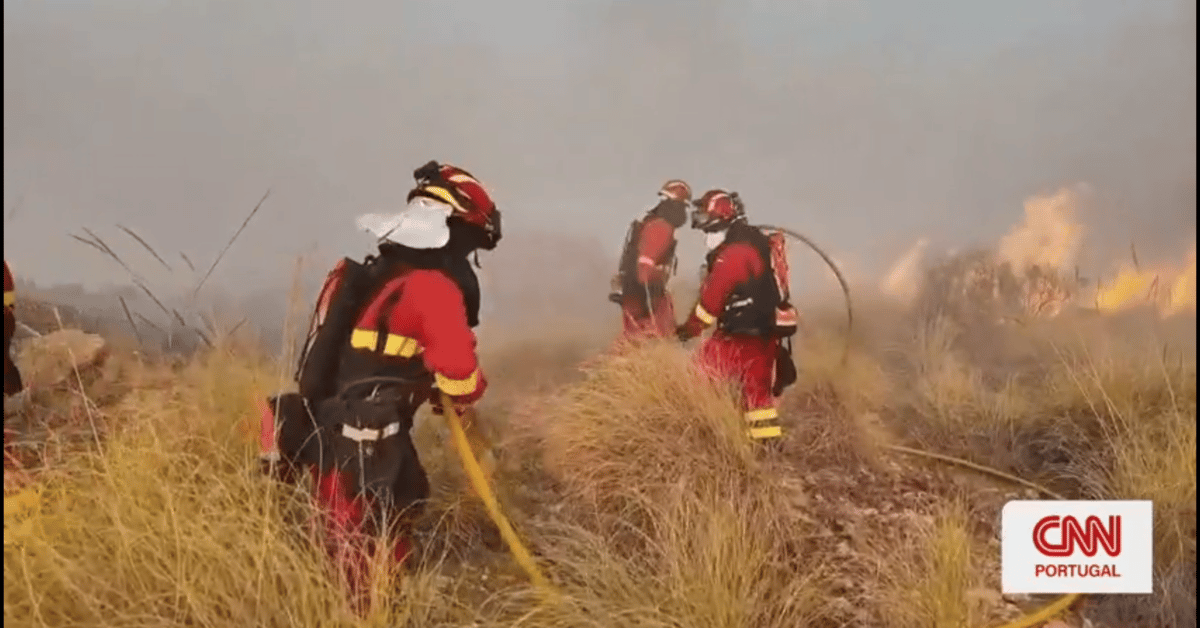 Tragédia em Almería: Incêndio florestal deixa ao menos 11 mortos na Espanha