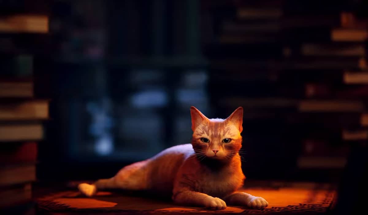 Stray chega as plataformas no dia 19 de Julho. Fonte: Reprodução/YouTube