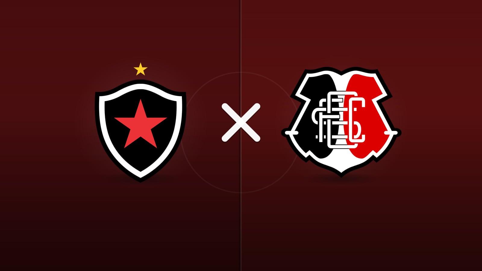 Botafogo PB x Santa Cruz jogam hoje às 17h00 pela Serie C. Foto: Diário 24 Horas / Montagem