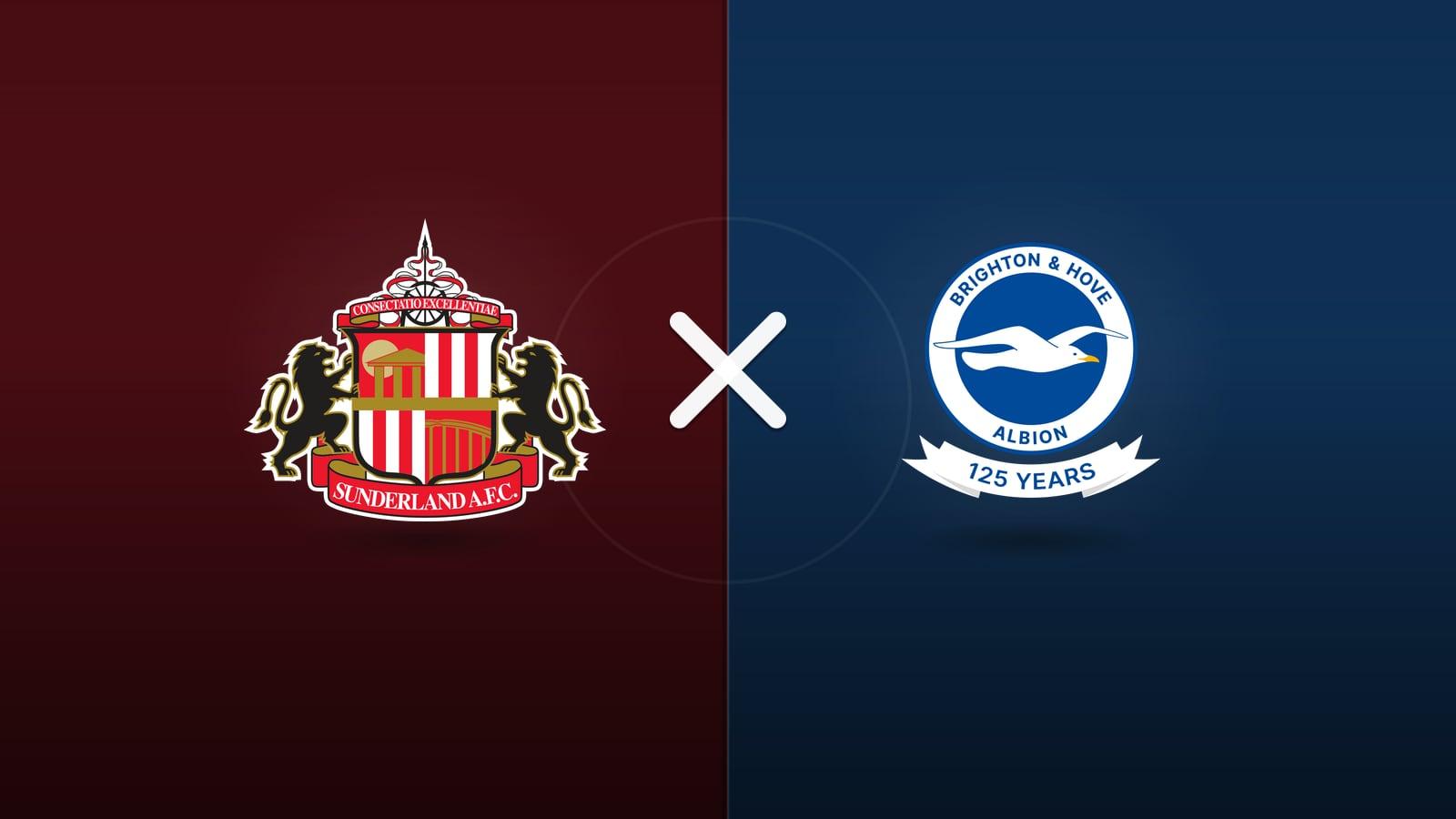 Sunderland x Brighton jogam hoje às 11h00 pela Premier League. Foto: Diário 24 Horas / Montagem