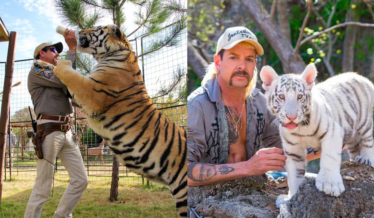 Junto com o anúncio da 2ª temporada de 'Tiger King', a Netflix divulgou novos títulos documentais que chegarão à plataforma em 2022