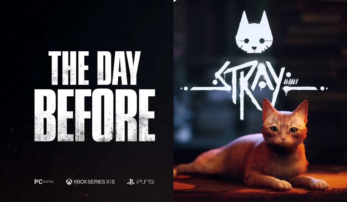 5 coisas fofas que você pode fazer em Stray, o jogo do gato