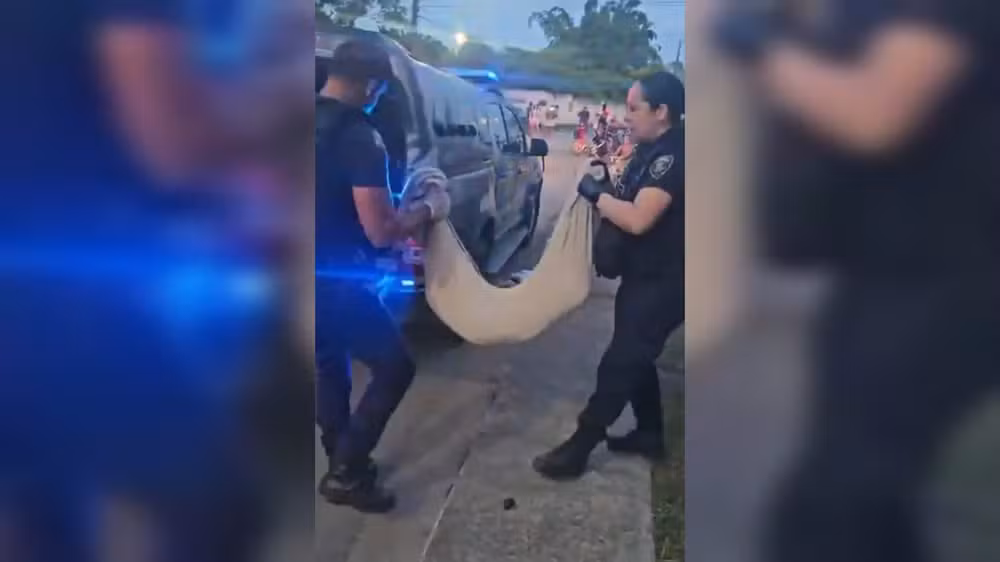 Oficiais da guarda municipal de SC recolhendo o corpo do novo cachorro morto em SC. Foto: Reprodução/Guarda Municipal de Itajaí