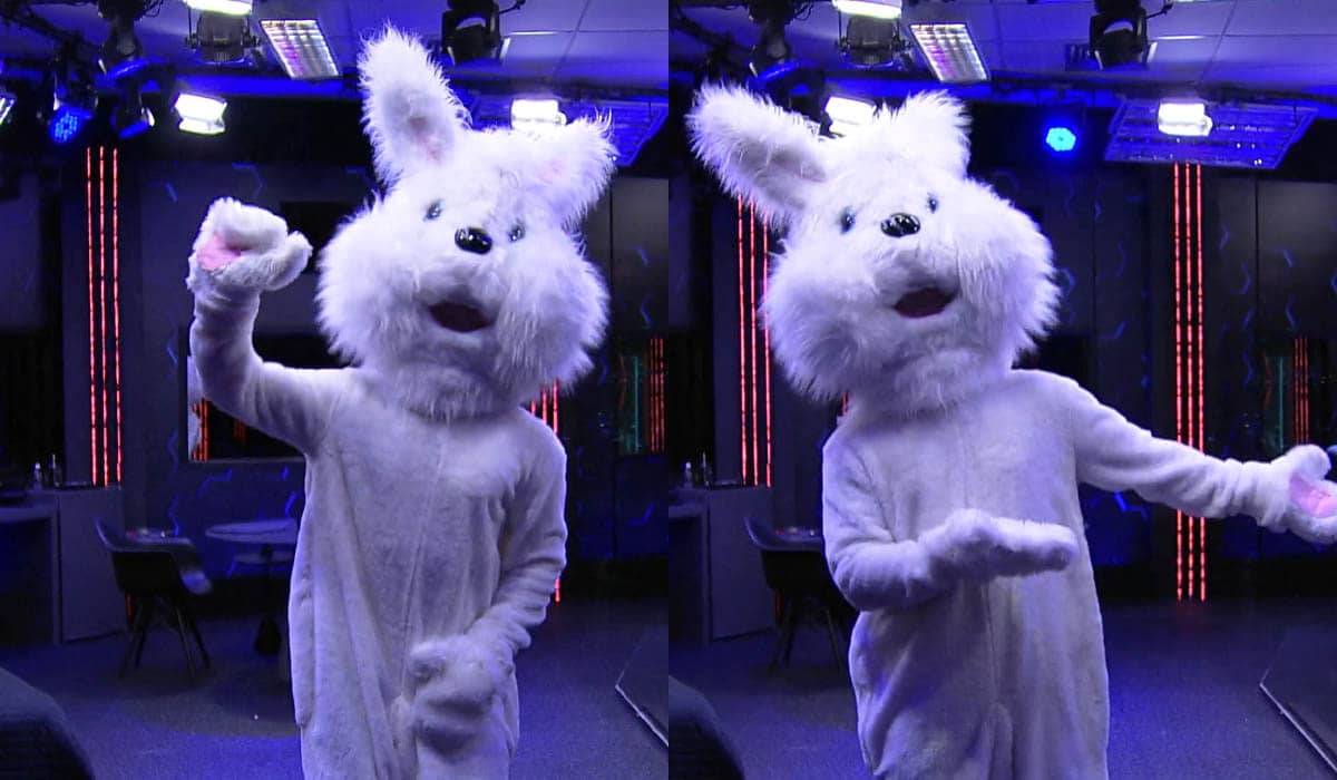 Arthur fez coreografias com a fantasia de coelho. Foto: Reprodução/Globoplay