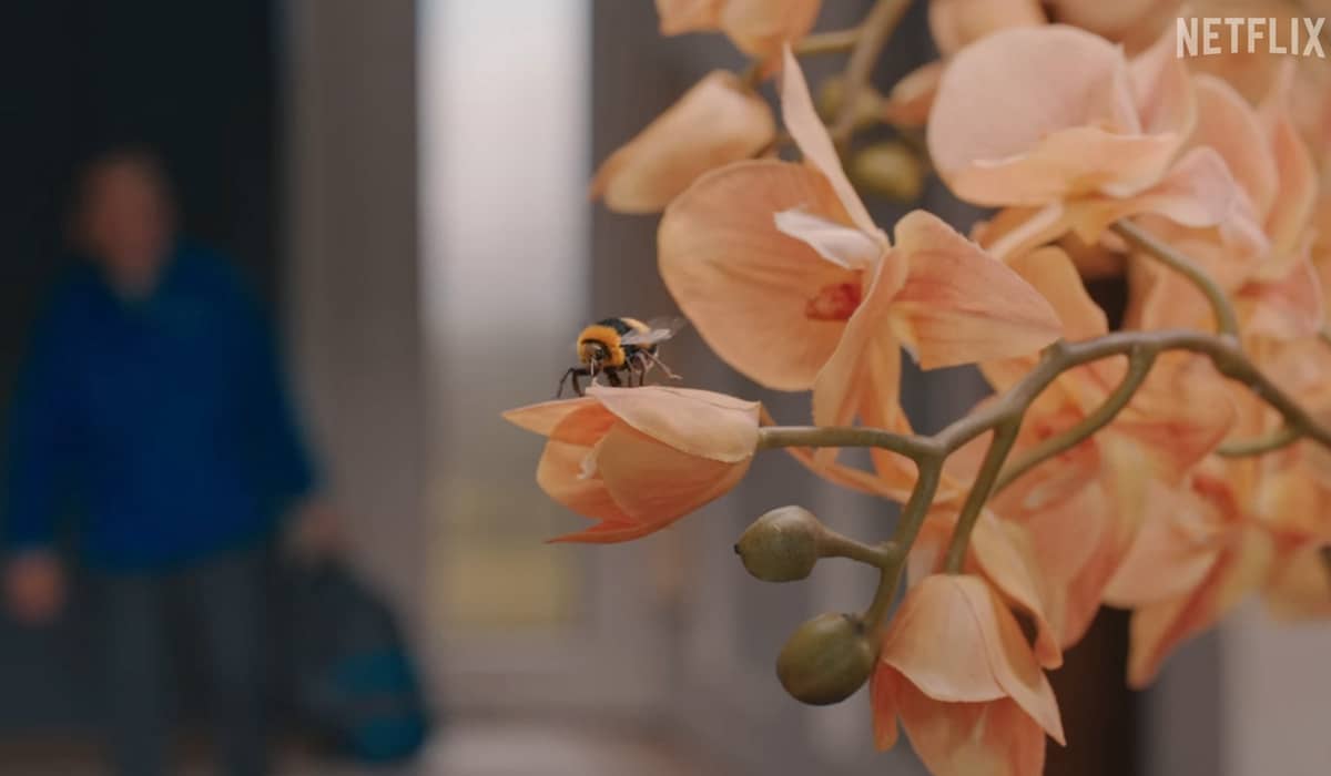 Uma abelha irá provocar o caos na vida de Trevor na série 'Homem X Abelha'. Foto: Reprodução/YouTube