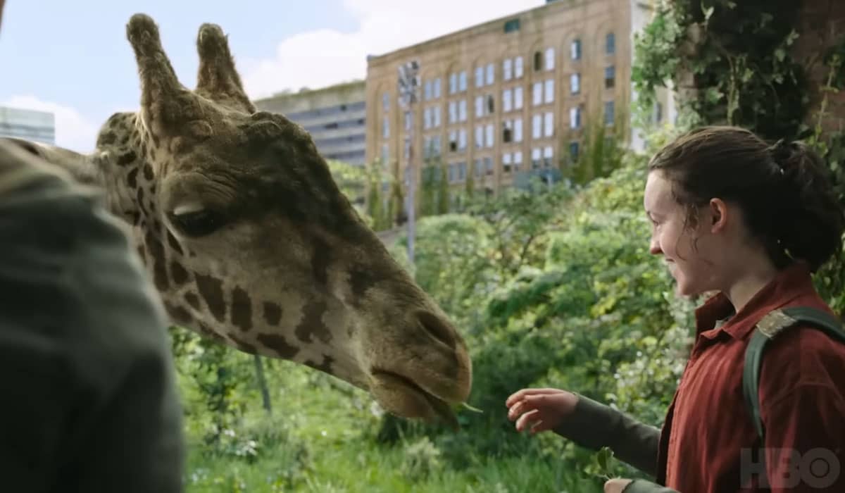Ellie encontra girafa no episódio 9 de The Last of Us. Foto: Reprodução/YouTube